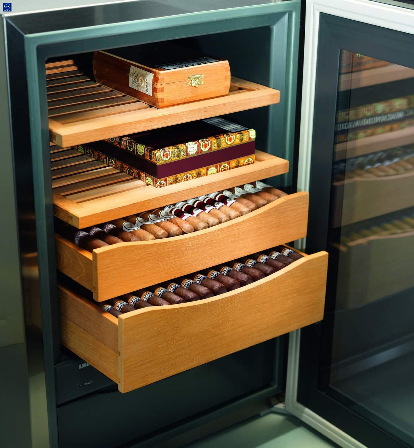 sua-tu-xi-ga