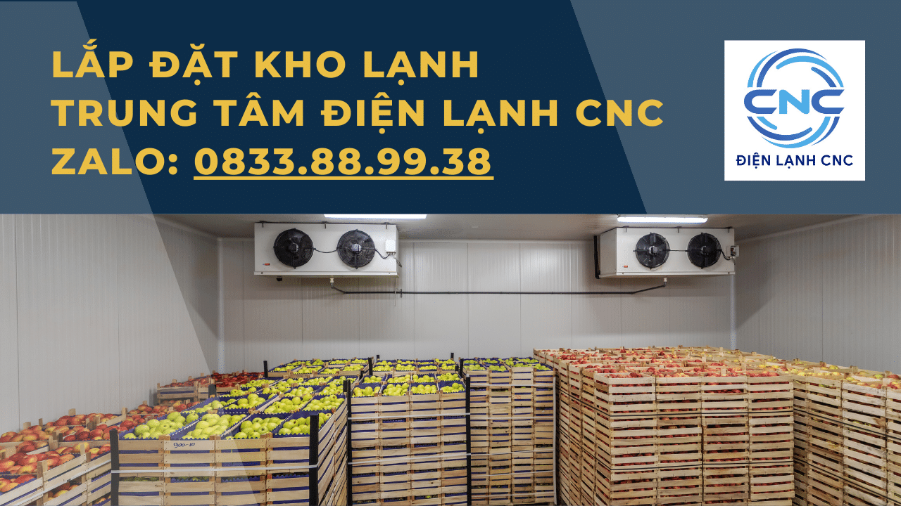 Thi Công Lắp Đặt Kho Lạnh Kho Đông Lạnh Hà Nội