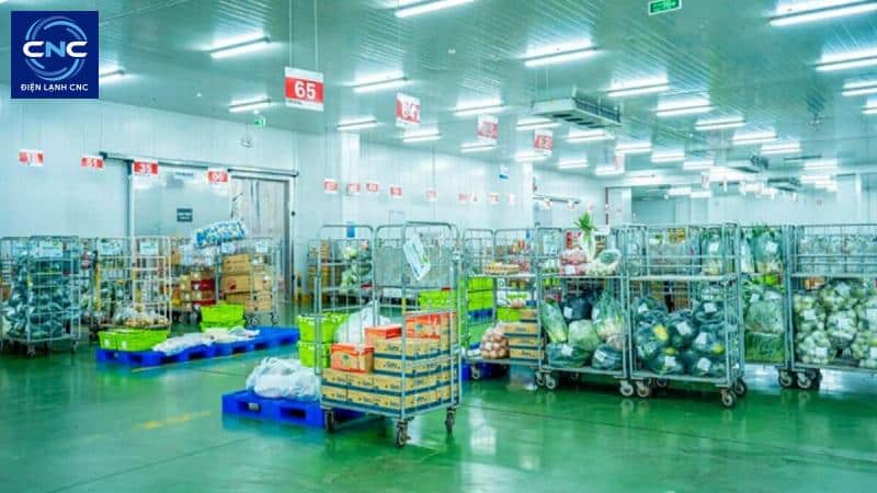 Dịch vụ lắp đặt kho lạnh công nghiệp uy tín chuyên nghiệp 3 Phân loại kho lạnh công nghiệp