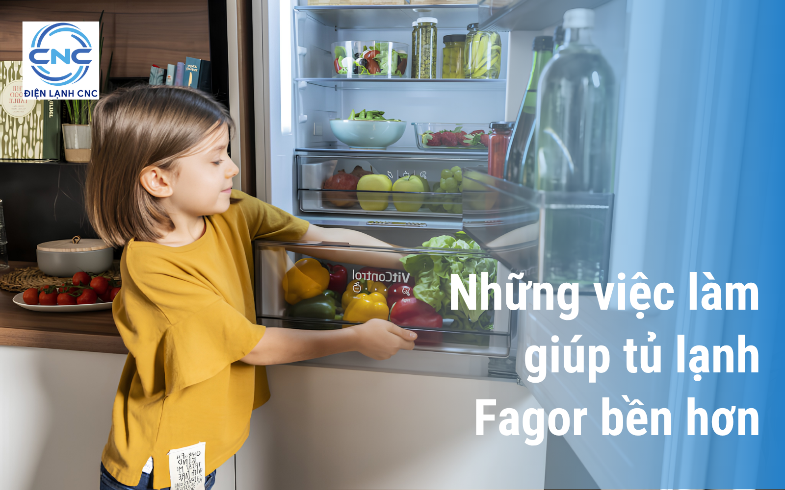 Sửa tủ lạnh Fagor tại Hà Nội uy tín giá rẻ 2 Những việc làm giúp và hại tủ lạnh Fagor của gia đình bạn